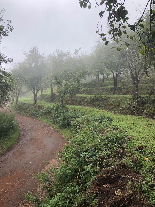 Kodaikanal